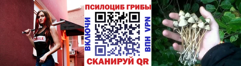 Купить  Орёл  Псилоцибиновые грибы прущие грибы 